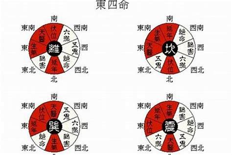 乾命(西四命)|善韵缘｜何为东四命、西四命？怎么算？看这一篇就够 